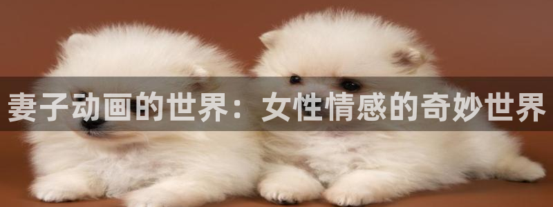天使火狼动漫：妻子动画的世界：女性情感的奇妙世界